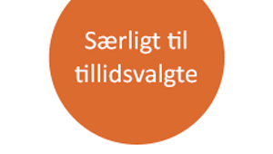 Særligt til tillidsvalgte - boksbillede